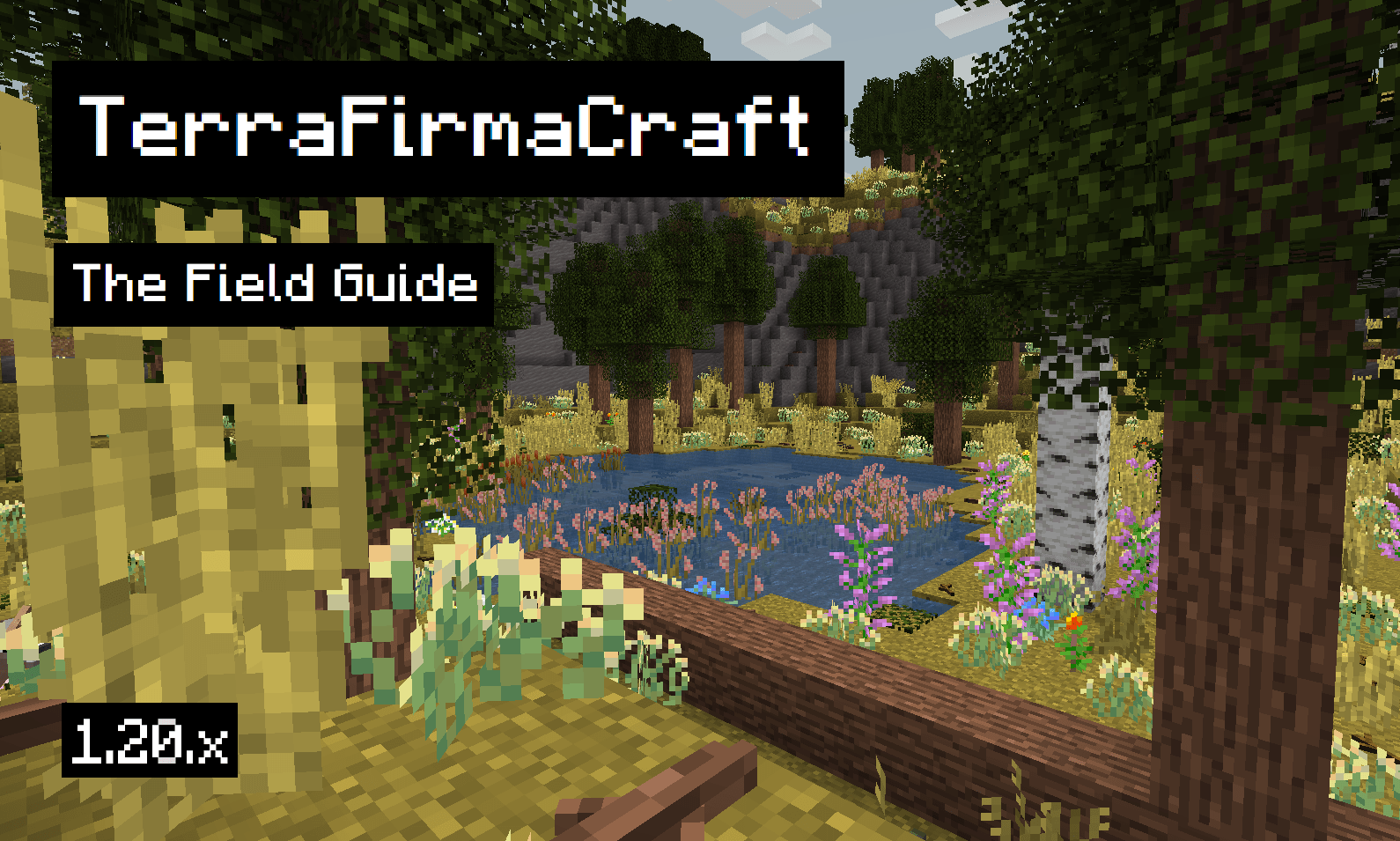 TerraFirmaCraft Field Guide Splash Image